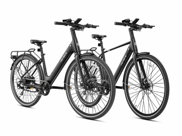 Heybike EC 1 & EC 1-ST Combo