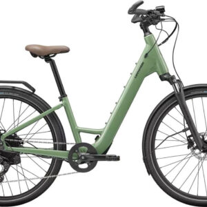 Cannondale Mavaro Neo SL 1 WA
