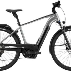 Cannondale Tesoro Neo X 1