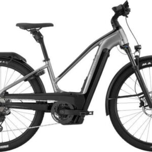Cannondale Tesoro Neo X 1 TR XX
