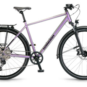 Winora Domingo 12 Pro - 28 Zoll 12K Diamant - Chameleon