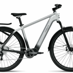 Tenways AGO-X - 29 Zoll 504Wh 10K Diamant - Gradient Silver