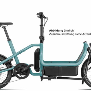 Riese und Müller Carrie touring - 20 Zoll 725Wh 10K Lastenrad - Aqua