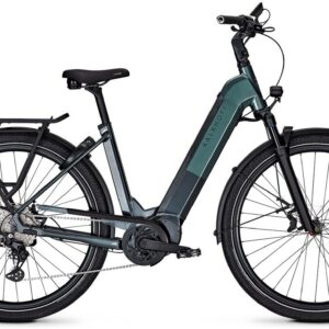 Kalkhoff ENDEAVOUR 5+ ADVANCE LTD (625 Wh), 10 Gang Kettenschaltung, Damenfahrrad, Wave, Modell 2025, 29 Zoll 58 cm diamondblack / techgreen glossy
