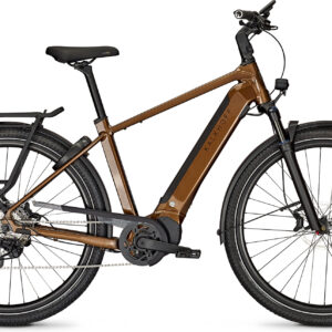 Kalkhoff ENDEAVOUR 5+ ADVANCE (625 Wh), 10 Gang Kettenschaltung, Herrenfahrrad, Diamant, Modell 2025, 29 Zoll 48 cm goldbrown glossy