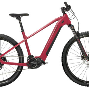 HoheAcht Sento Roko Sonnentau 29"/27,5" 630 Wh Diamant