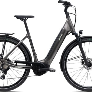 Giant DailyTour E+ 2 D RC Dash LDS - 2024 -  | XL