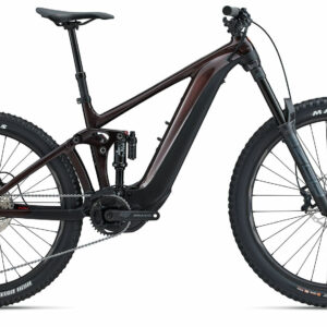 Giant Reign E+ 2 | V1 Cordovan/Black Gloss-Matt 2024 29"/27,5" 800 Wh Diamant