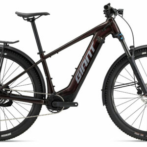 Giant Fathom E+ 2 EX cordovan 2025 29" 625 Wh Diamant