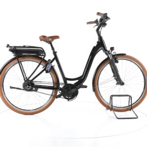 Riese & Müller Swing3 vario 2022