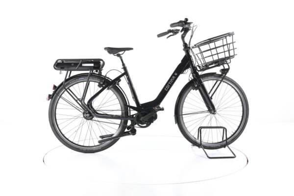 Cortina Common 2020