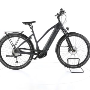 EBIKE Trekking Pro Mixed 2021