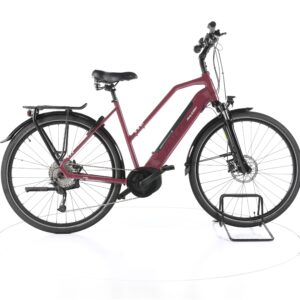Raleigh Kent 9 2022