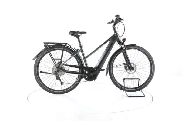 Pegasus Premio Evo 10 light 2021