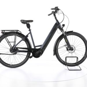 Pegasus Premio 5F Belt Damen 2023