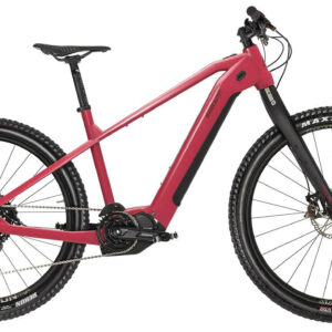 HoheAcht Sento Lumo Sonnentau 2022 29"/27,5" 630 Wh Diamant