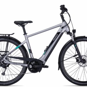 PEGASUS Evo CX 750 - 28 Zoll 750Wh 9K Diamant - silver matt