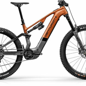Centurion No Pogo R3000 Rust/Slab Grey 29"/27,5" 800 Wh Diamant