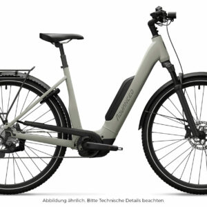 Advanced TREKKING Plus Wave 10 Natural Grey 28" 545 Wh Wave