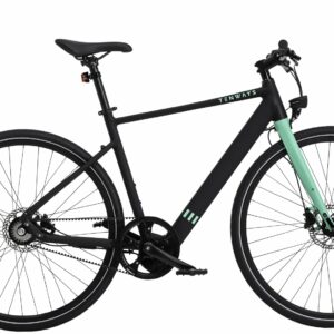 Tenways CGO600 (252 Wh), Singlespeed, Herrenfahrrad, Diamant, Modell 2022/2023, 28 Zoll 54 cm Black Green