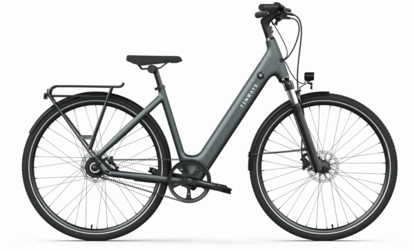 Tenways CGO800S, Singlespeed, Damenfahrrad, Wave, Modell 2025, 28 Zoll 48 cm Light Grey