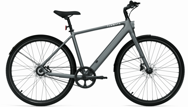Tenways CGO600 PRO, Singlespeed, Herrenfahrrad, Diamant, Modell 2023/2024, 28 Zoll 54 cm Light Grey