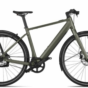 Riese und Müller UBN Five singlespeed Testbike - 28 Zoll 430Wh 1N - selva