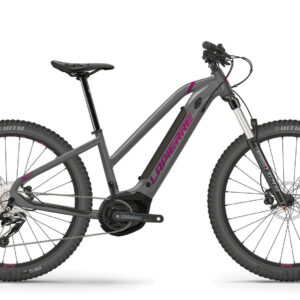 Lapierre Overvolt HT 5.5 Mix Grau 2022 27,5" 500 Wh Trapez