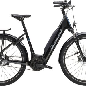 Diamant Beryll Esprit RT Gen 3 Einstieg tief - 2025 - L | 800