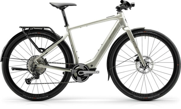 Centurion Speeddrive R2000 D EQ Vintage Grau 28" 400 Wh Diamant