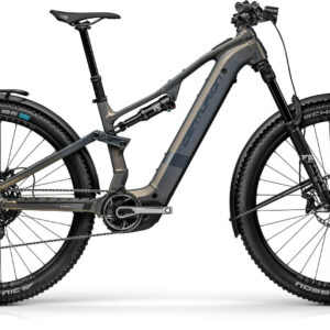 Centurion Numinis R2000 EQ Kristallgrau 29" 800 Wh Diamant