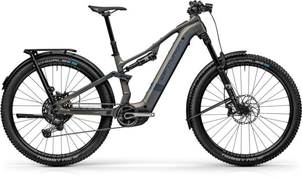Centurion Numinis R2000 EQ Kristallgrau 29" 800 Wh Diamant