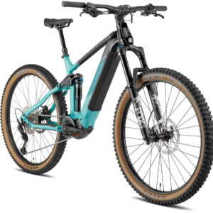 BESV TRS 160 1.1 LE forest green with night black 29" 720 Wh Diamant