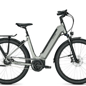 Raleigh BRISTOL XXL steelgrey matt 28" 625 Wh Wave