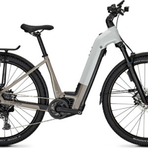 Focus PLANET² 6.8 ABS Lightgrey glossy / Moonstonegrey glossy 29" 625 Wh Wave