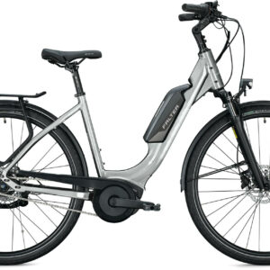 Falter E 9.0 RT 500 titanium, glossy 28" 500 Wh Wave
