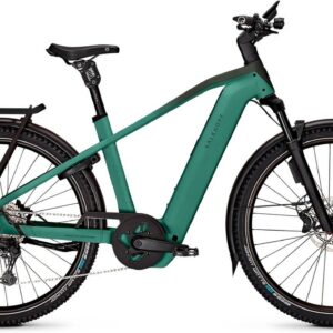 Kalkhoff ENTICE 5+ EXCITE ABS (800 Wh), 11 Gang Kettenschaltung, Herrenfahrrad, Diamant, Modell 2025, 29 Zoll 63 cm mineralgreen / huntsmengreen matt