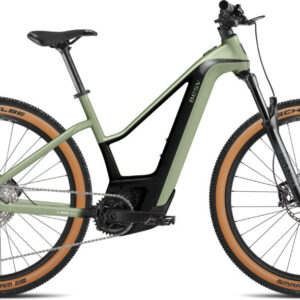 BESV TRX-B 1.1 ST jade green 29" 750 Wh Trapez