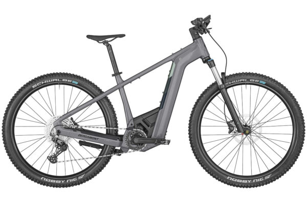 Bergamont E-Revox Pro shiny space grey 29" 750 Wh Diamant