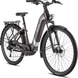 BESV TR 1.3 LS metallic umbra 28" 630 Wh Wave