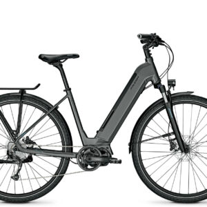 Raleigh PRESTON 9 granitegrey matt 28" 540 Wh Wave