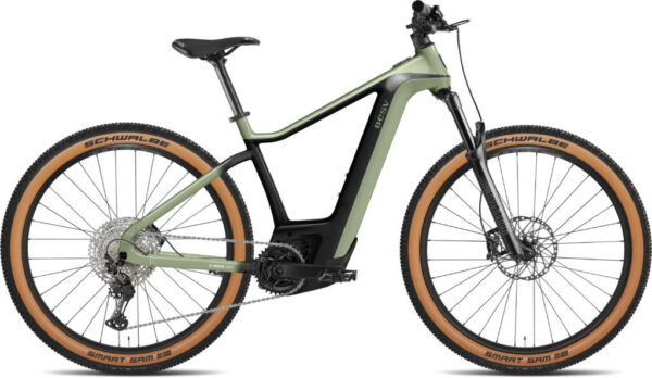 BESV TRX-B 1.1 jade green 29" 750 Wh Diamant