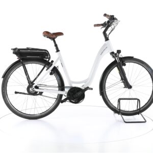 Riese & Müller Swing vario 2022