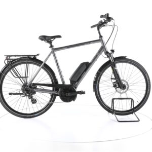 Triumph E-Bird Ultra 2021