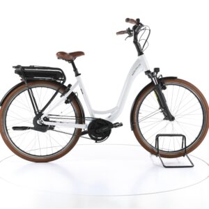 Riese & Müller Swing automatic 2021