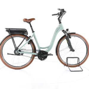 Riese & Müller Swing vario 2021