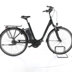 Raleigh Corby 7 2021