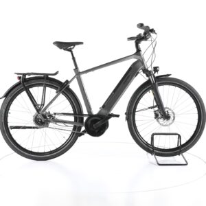 Raleigh Bristol XXL 2022