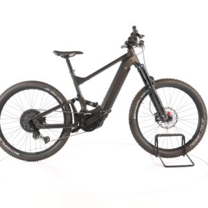 Riese & Müller Delite Mountain 2022