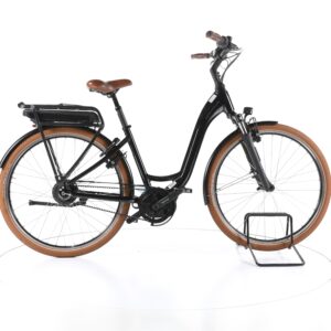 Riese & Müller Swing Vario 2022